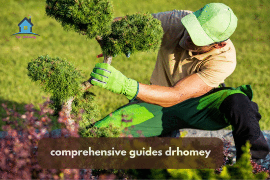 comprehensive guides drhomey