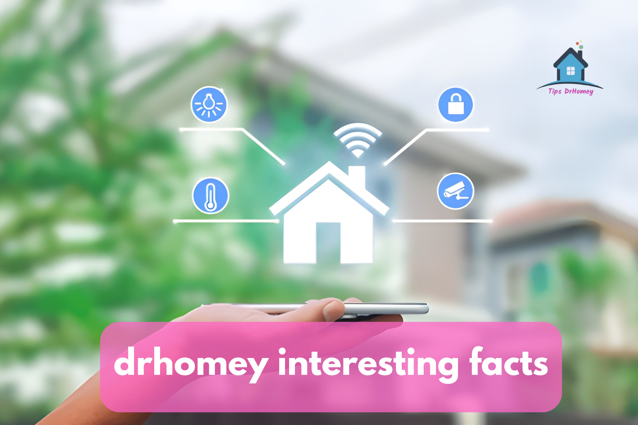 drhomey interesting facts
