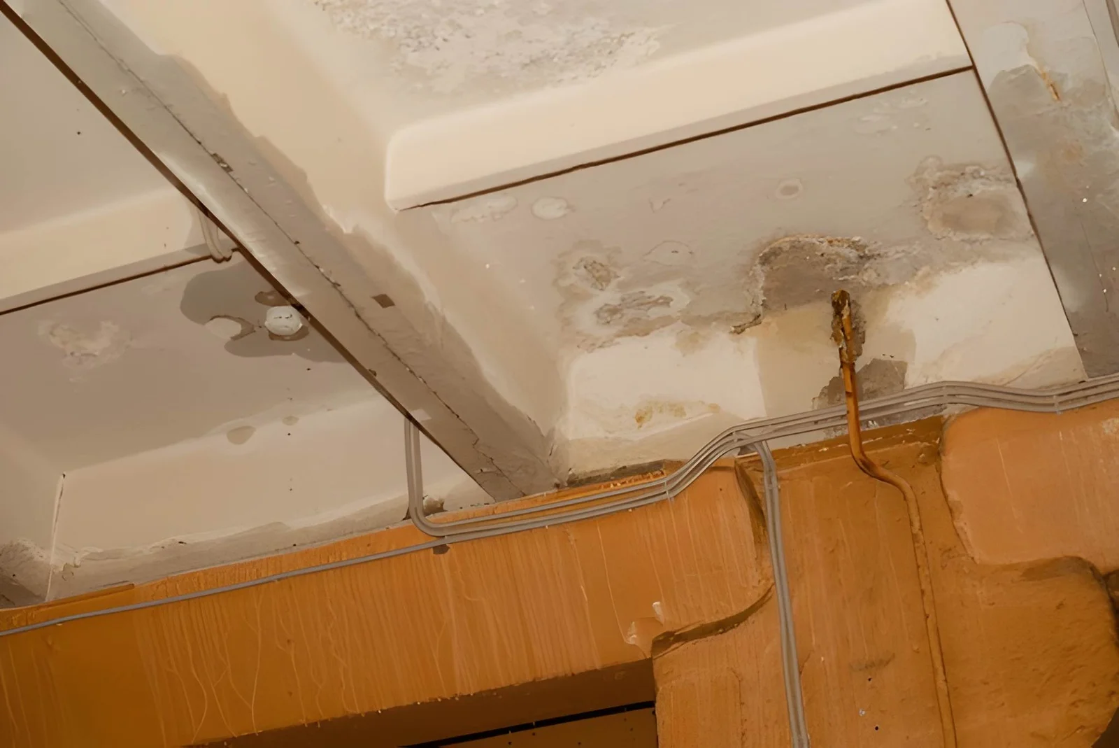 How Can You Detect Hidden Water Leaks Before They Damage Your Home?